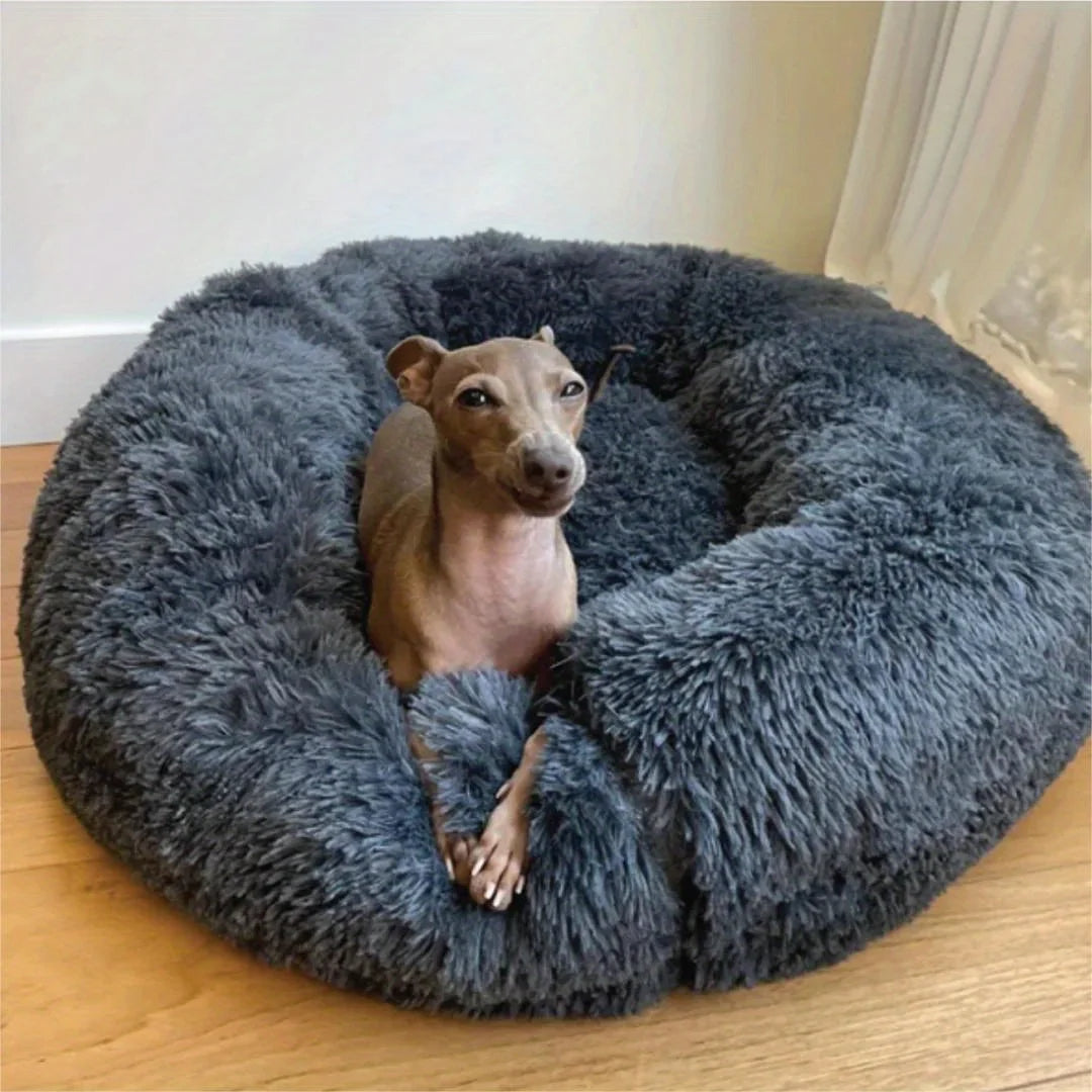 Best Surface for Dog Sleep: How to Choose the Right Resting Spot for Your Pup