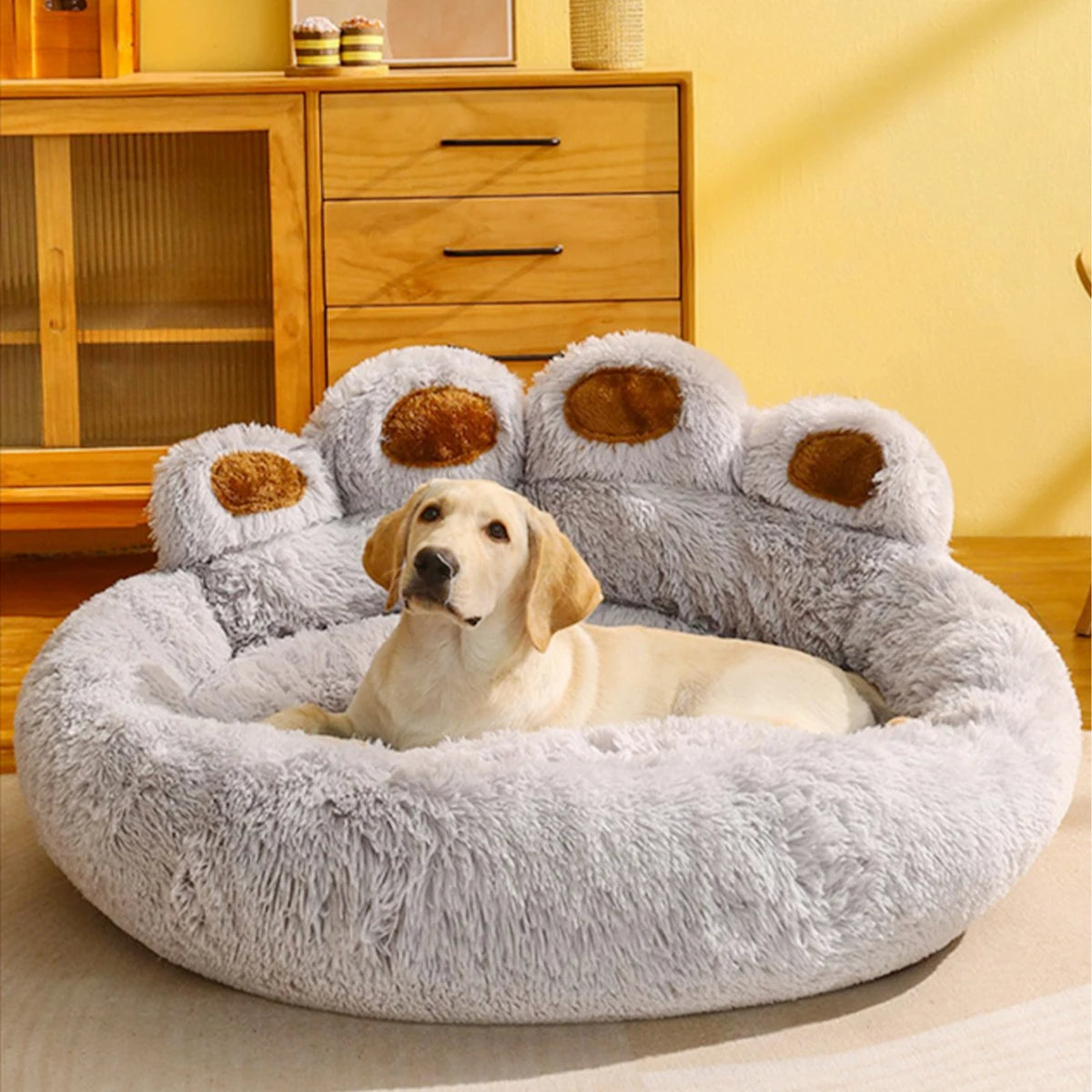 How Often to Replace a Dog Bed: A Guide for Pet Parents 🐾