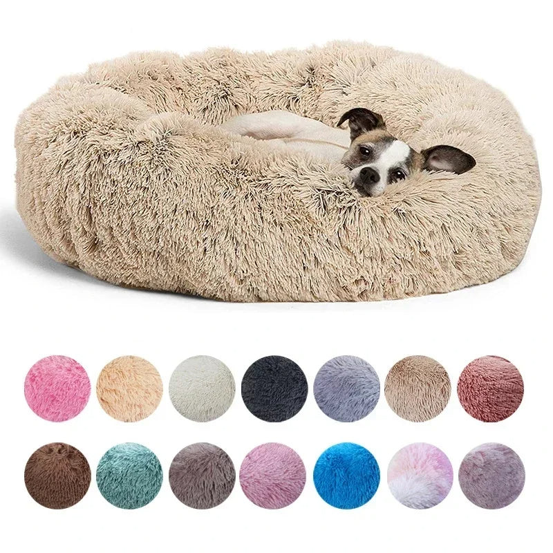 How to Clean Urine from Memory Foam Dog Bed: A Step-by-Step Guide
