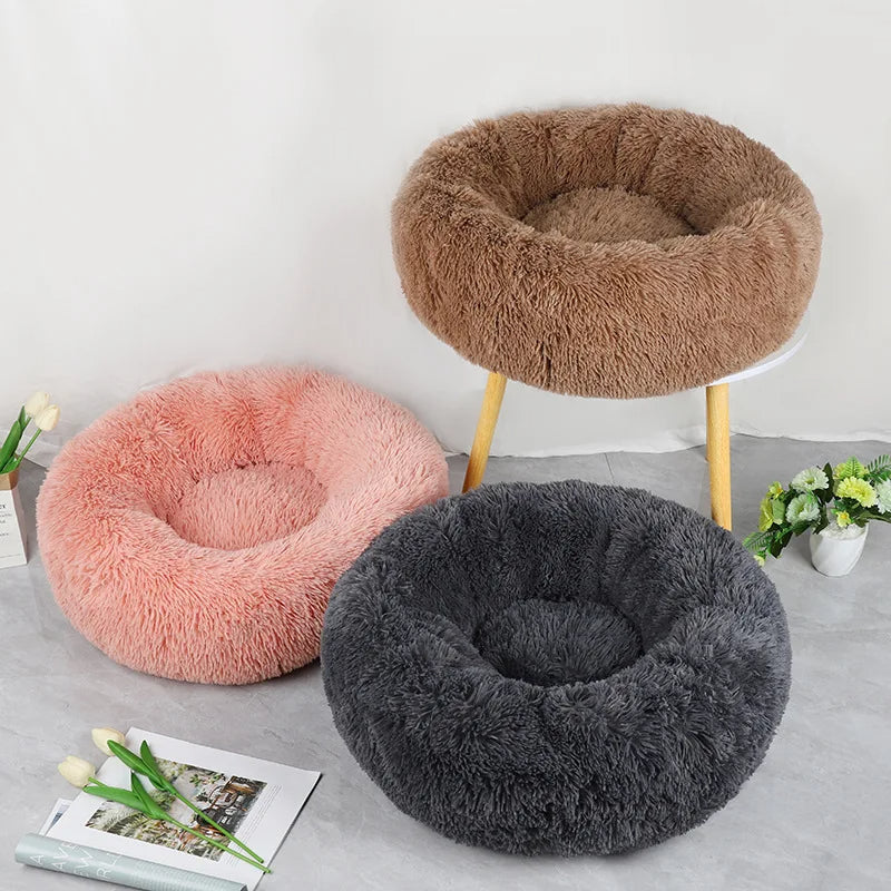 Most Loved Dog Beds: Top Picks Your Pup Will Adore 🐾