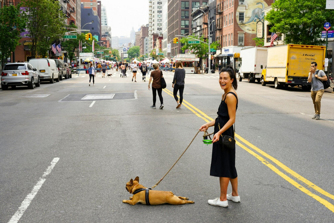 Essential Dog Walking Tips for a Safe and Enjoyable Experience