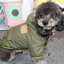 Dog Parka