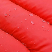 Dog Cold Weather Gear