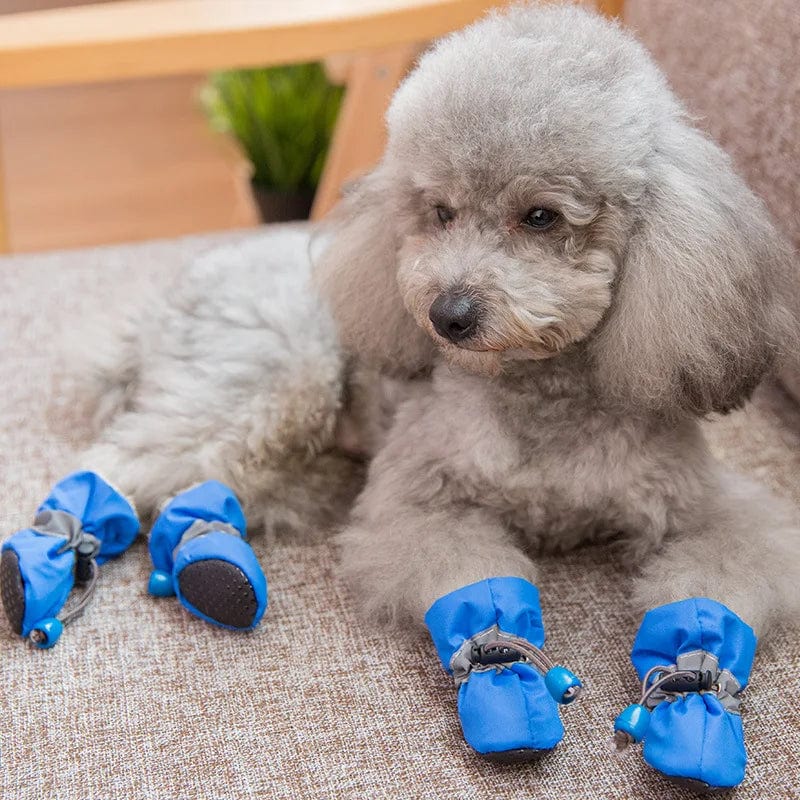 Dog Rain Boots