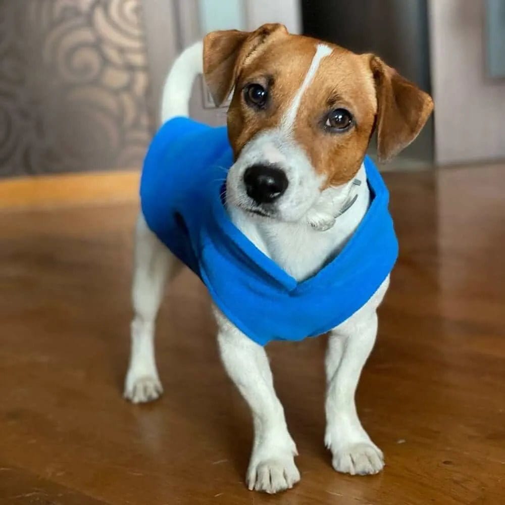 Dog Fleece Jacket