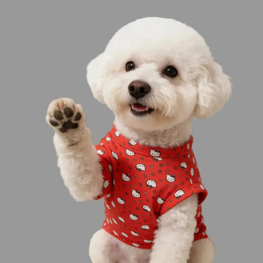 White dog wearing a red outfit with a white tiled background