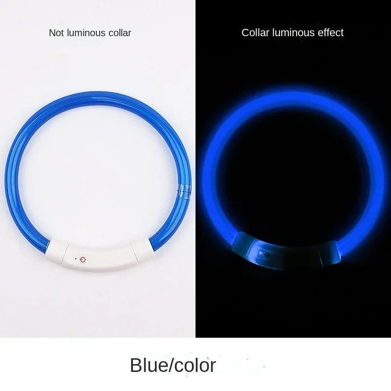 Glow in the Dark Dog Collar