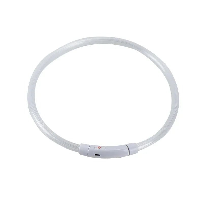 Glow in the Dark Dog Collar