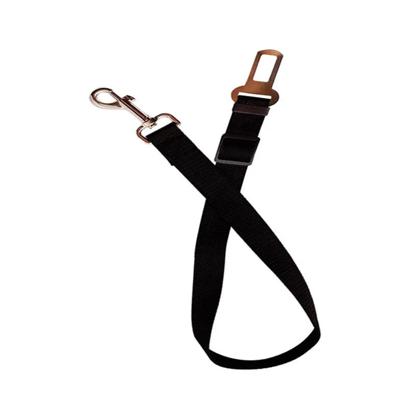 Telescopic Traction Rope for Dog