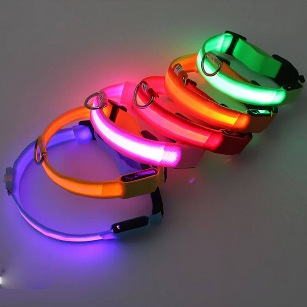 The Bright Benefits of LED Dog Collars