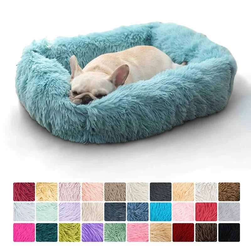 Best Dog Bed Shape for Comfort: How to Choose the Perfect Fit for Your Pup