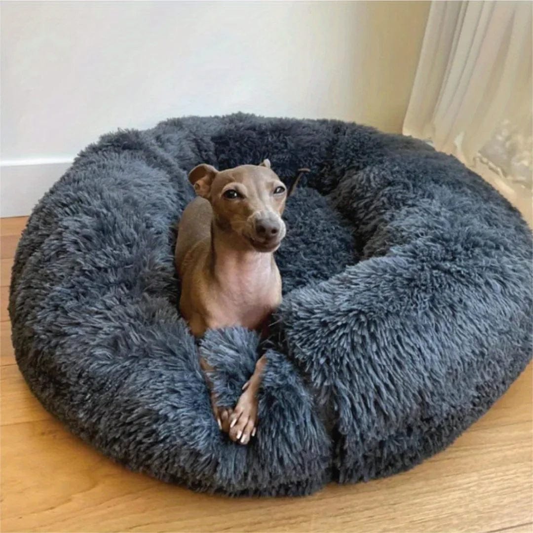 Hard vs Soft Dog Beds: Which Is Better for Your Pup?
