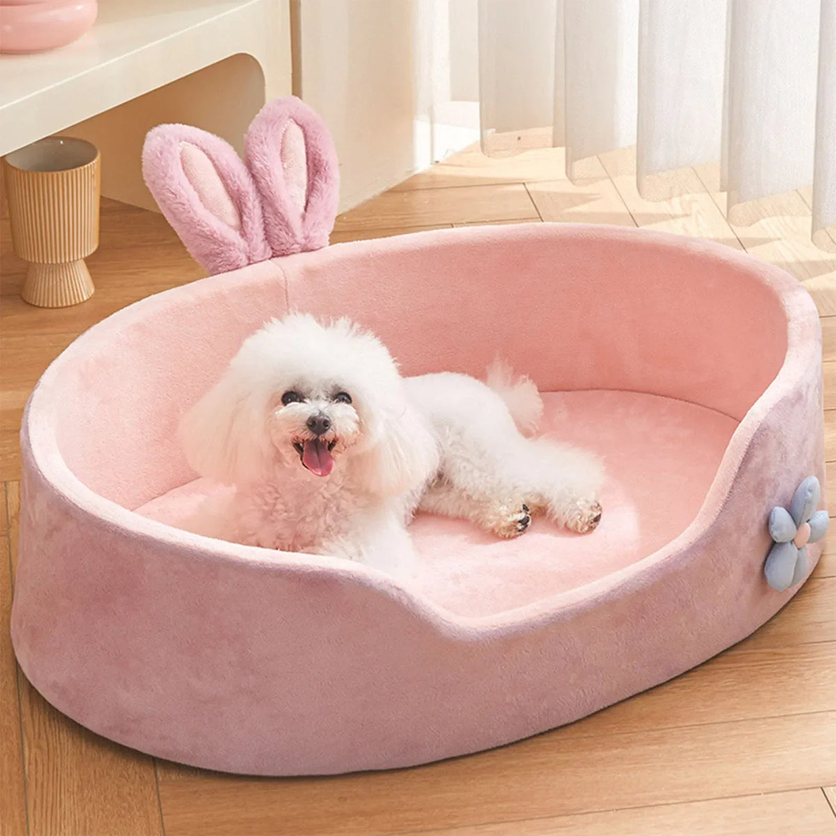 Do Dogs Prefer Clean Dog Beds? Here’s What Every Pet Parent Should Know 🐾