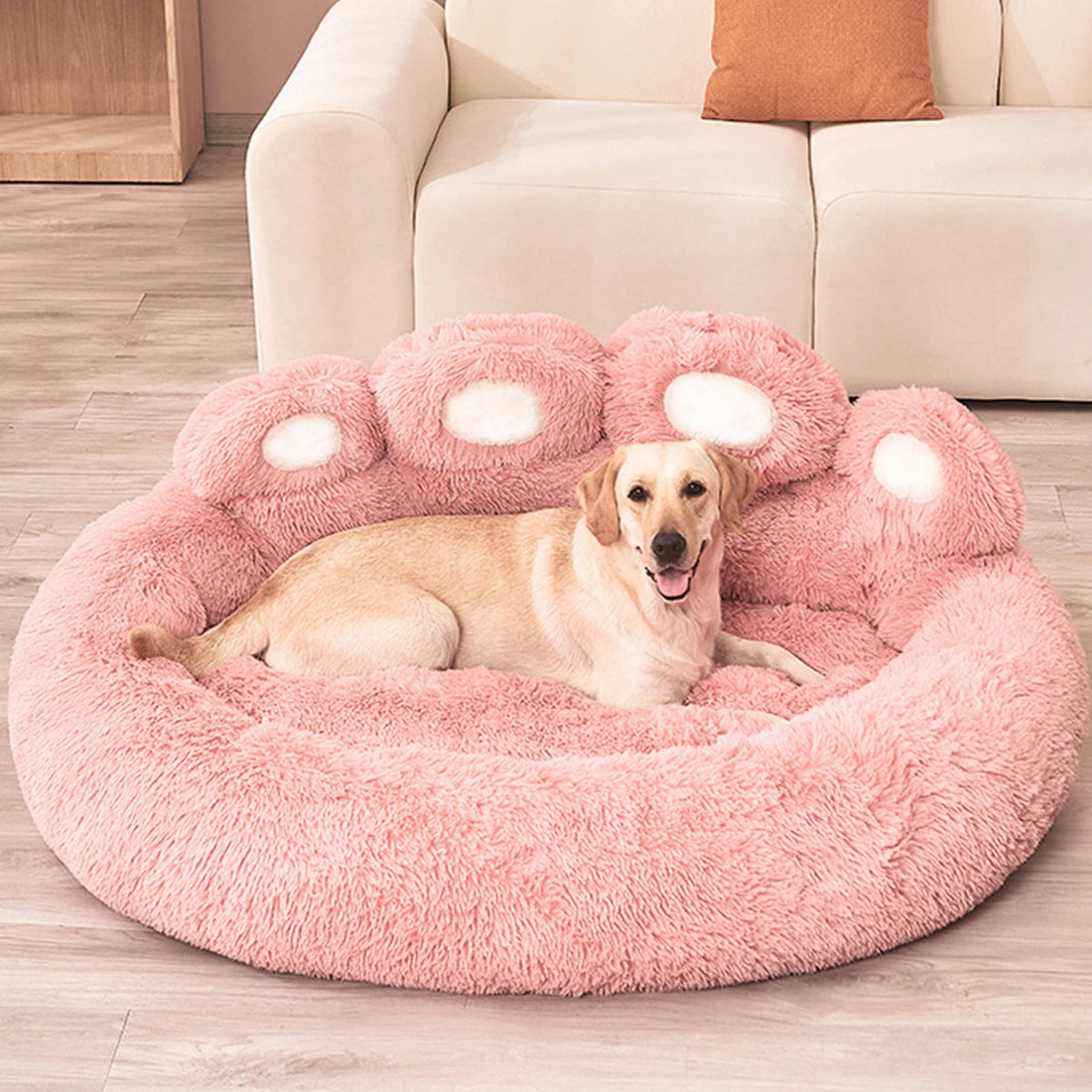 Best Materials for Dog Beds: How to Choose Comfort, Durability, and Hygiene 🐾