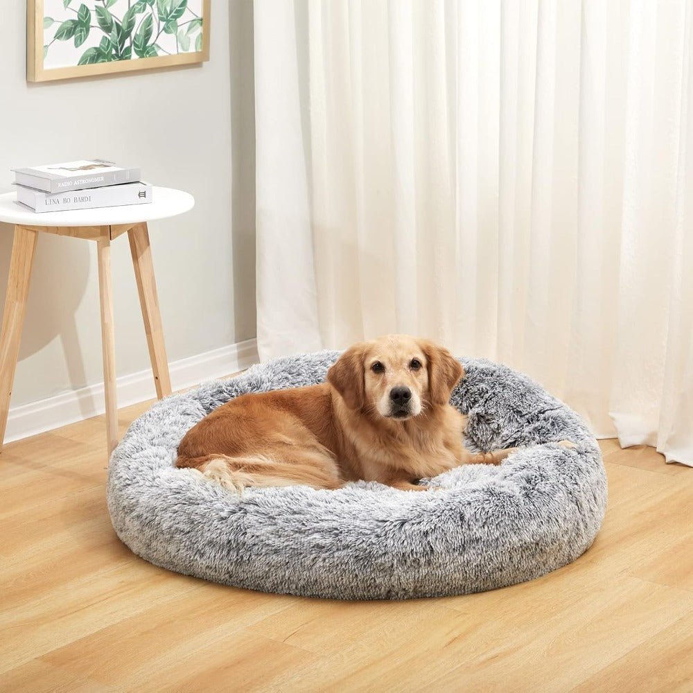 The Ultimate Guide to Calming Dog Beds: Comfort, Anxiety Relief, and Better Sleep for Your Furry Friend