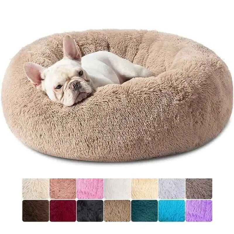 Where to Place a Dog Bed in the House: The Best Spots for Comfort, Calm, and Better Sleep
