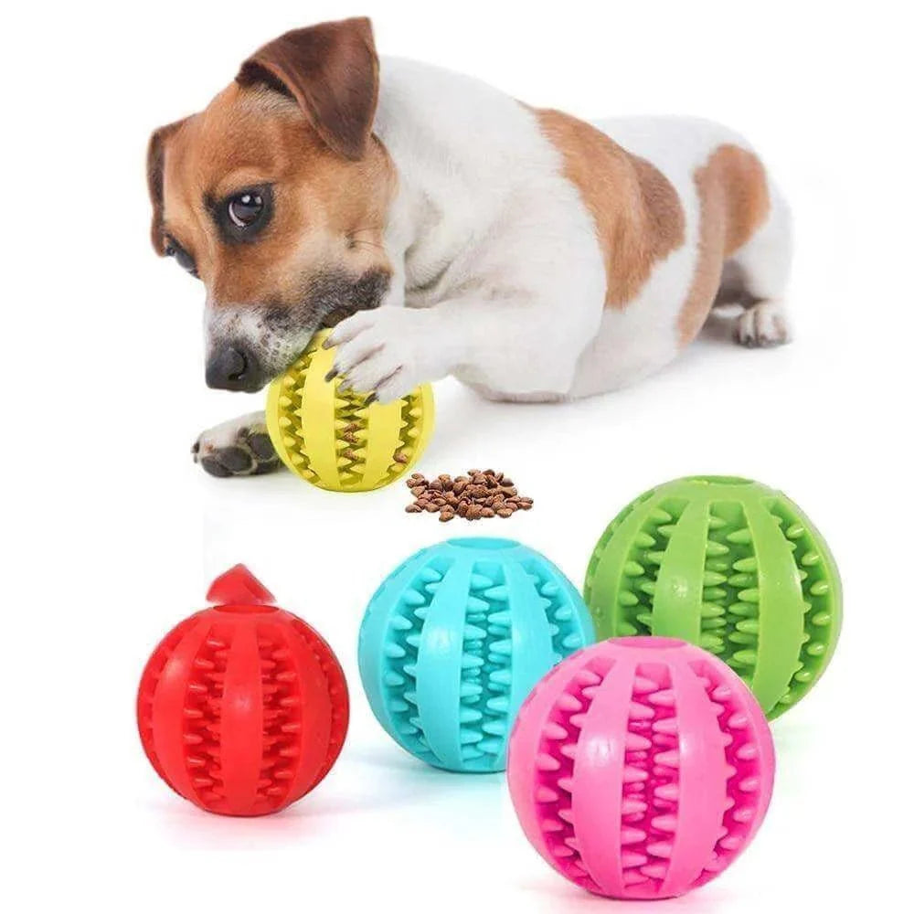 The Benefits of Interactive Dog Toys for Mental Health