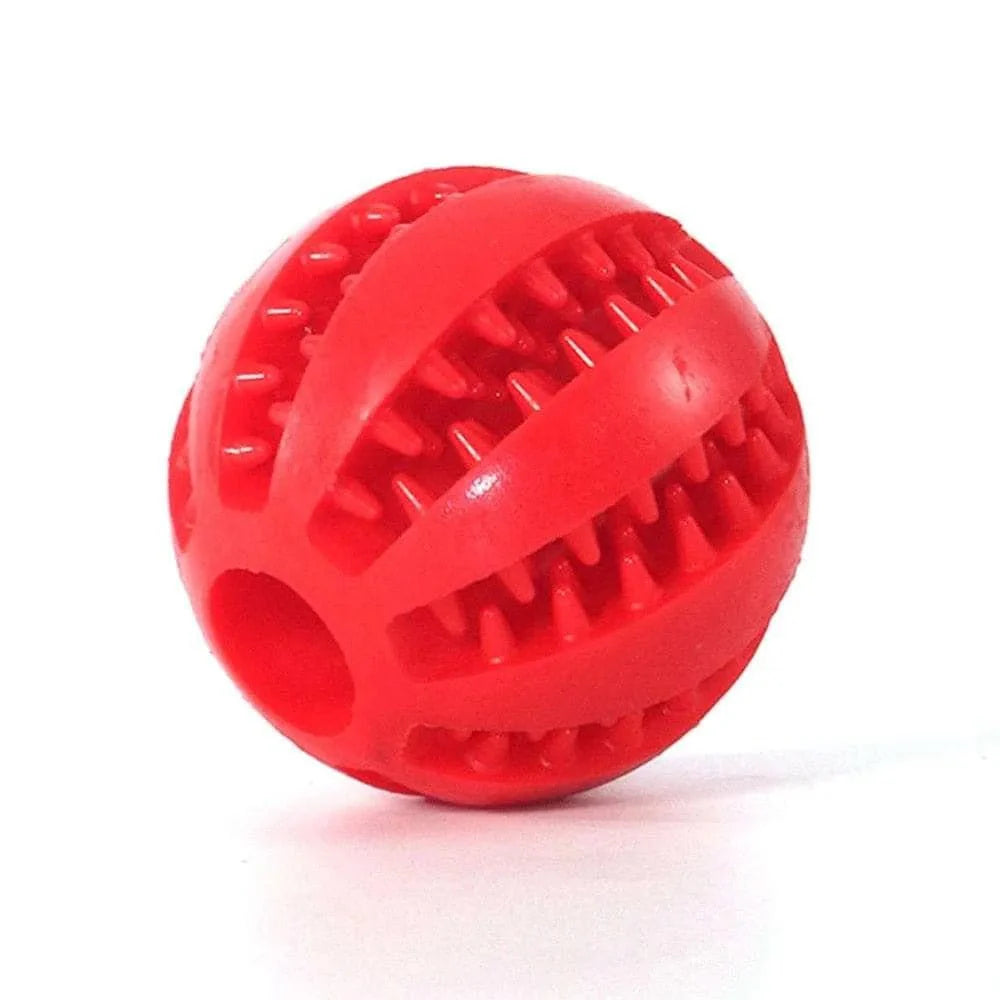 When to Replace Your Dog's Toys A Guide for Pet Owners