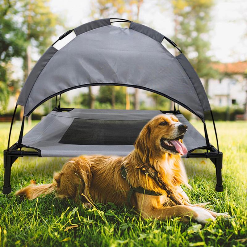 Best Outdoor Dog Beds: Keep Your Pup Comfortable and Safe Outside