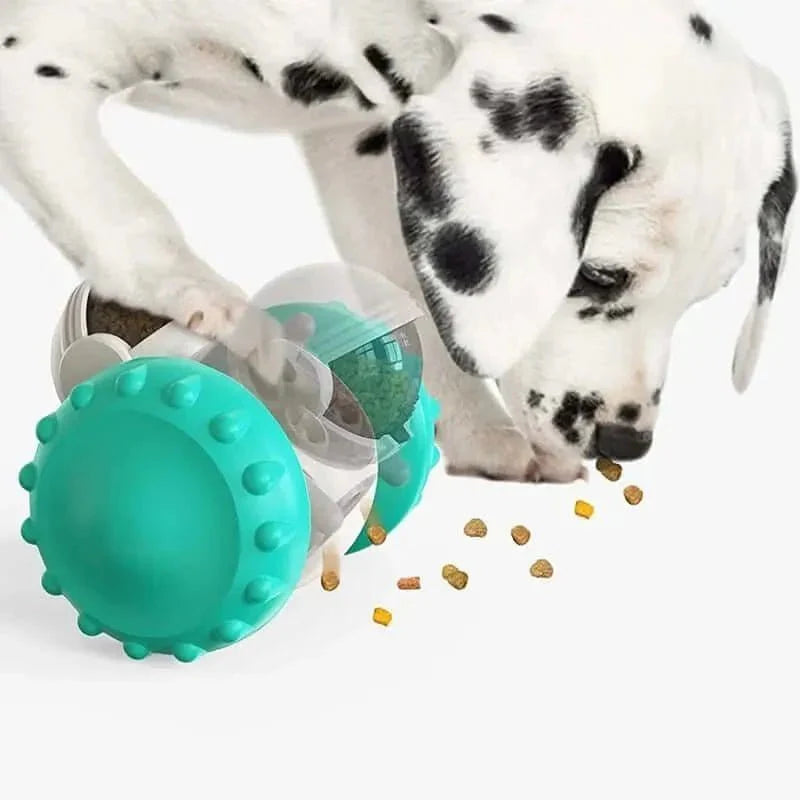 Discover the Advantages of Slow Feeders for Your Dog