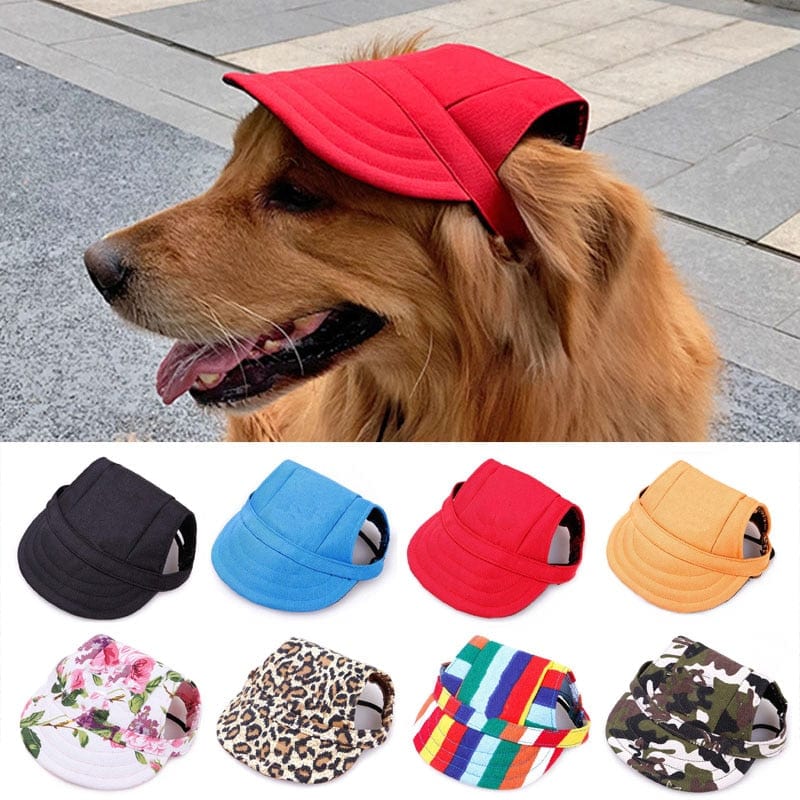 Stylish Sun Protection: Why Your Dog Needs a Summer Visor
