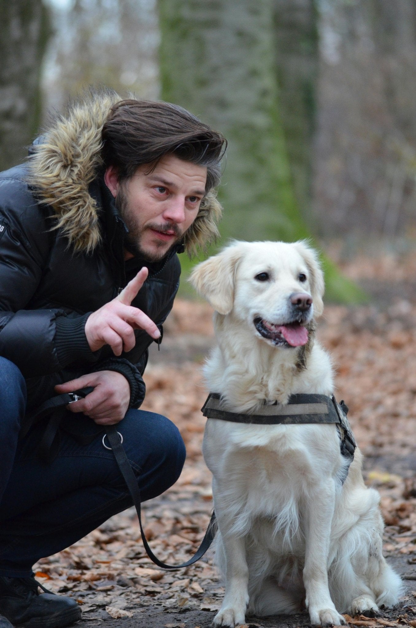 Transform Your Pup's Behavior: The Magic of Positive Reinforcement Dog Training