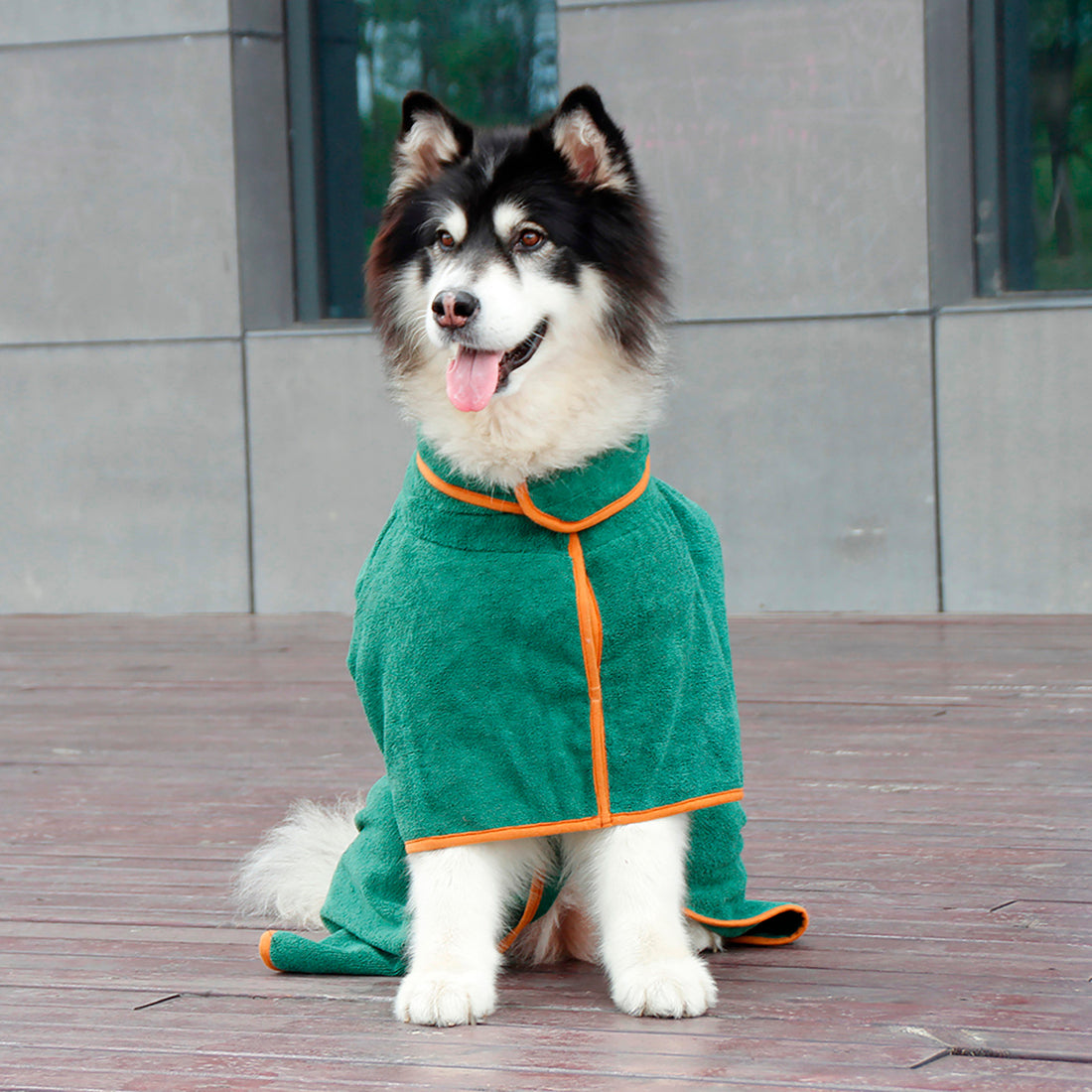 The Best Dog Bathrobe