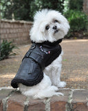 Designer Black Top Dog Vintage Flight Jacket & Leash