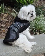 Dog Flight Jacket