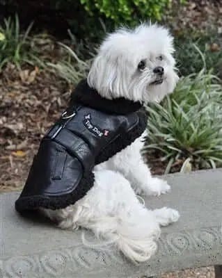 Dog Flight Jacket