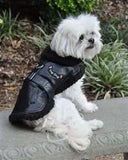 Dog Flight Jacket