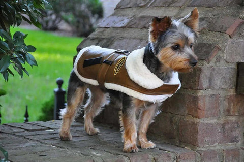 Dog Bomber Coat