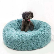 Calming Bed for Dogs