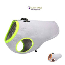 Dog Cooling Vest