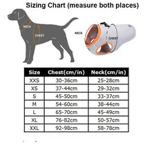 Dog Cooling Vest