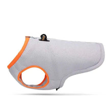 Dog Cooling Vest