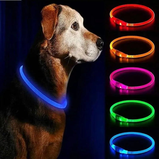 Glow in the Dark Dog Collar