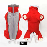 Dog Snowsuit