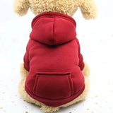 Personalized Winter Dog Hoodie Sweatshirt