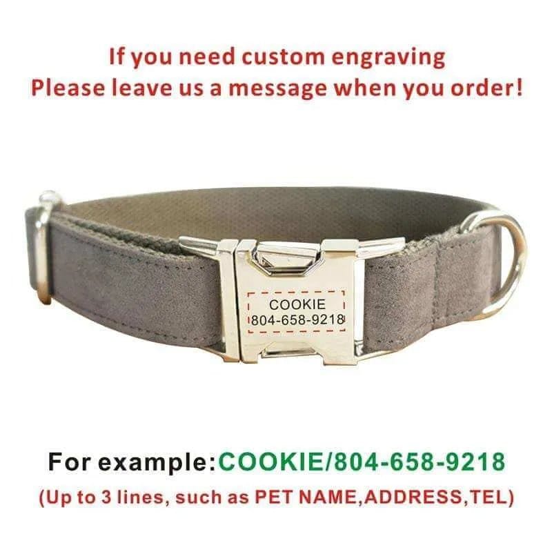 Personalized Dog Collar Free Engraving ID Nameplate Multi Velvet Collar Leash Set