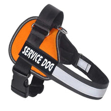 PETSUNNY™ NO PULL Dog Harness (The Ralph)