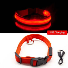 LED Safety Flashing Dog Harness™️ (Alfred Harness)