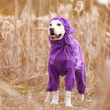 Dog Rain Jacket