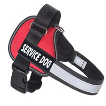 PETSUNNY™ NO PULL Dog Harness (The Ralph)