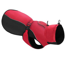 Waterproof Dog Coats for Large Dogs