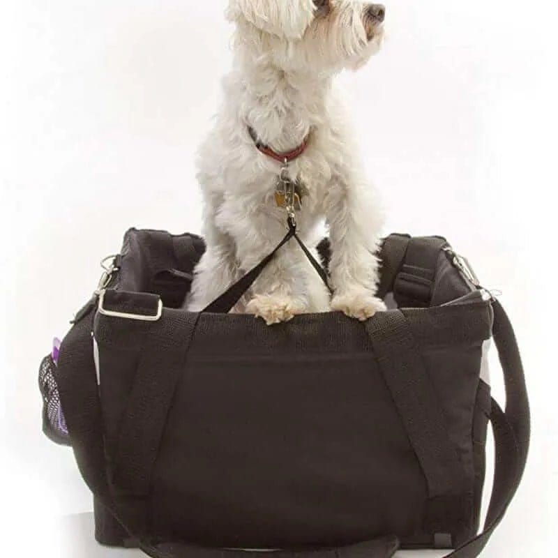 Puppy Dog Bicycle Basket Carrier