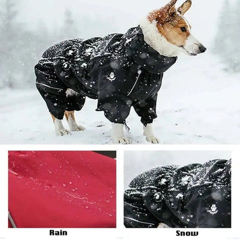 Dog Outdoor Waterproof Jacket