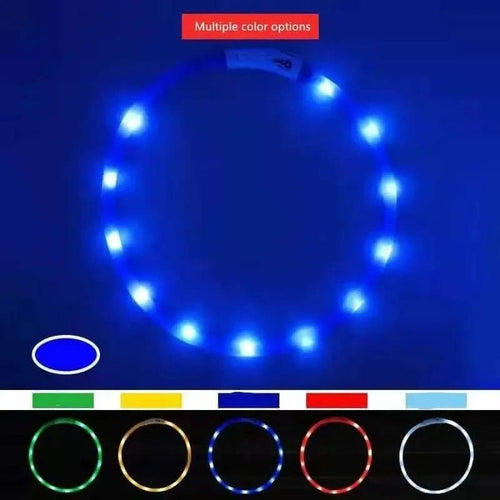 One blue glowing LED dog collar shown in a circle with five smaller color options below.
