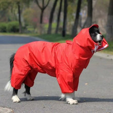 Umbrella raincoat for large dogs