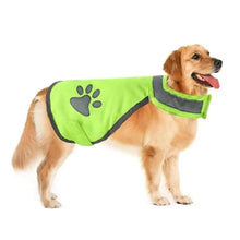 High Visibility Dog Vest